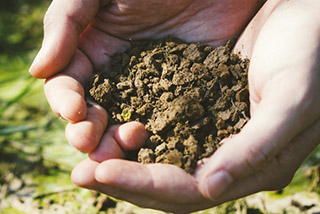 土作りから始める自然農法